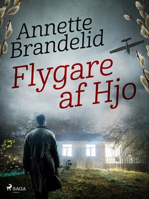 cover image of Flygare af Hjo